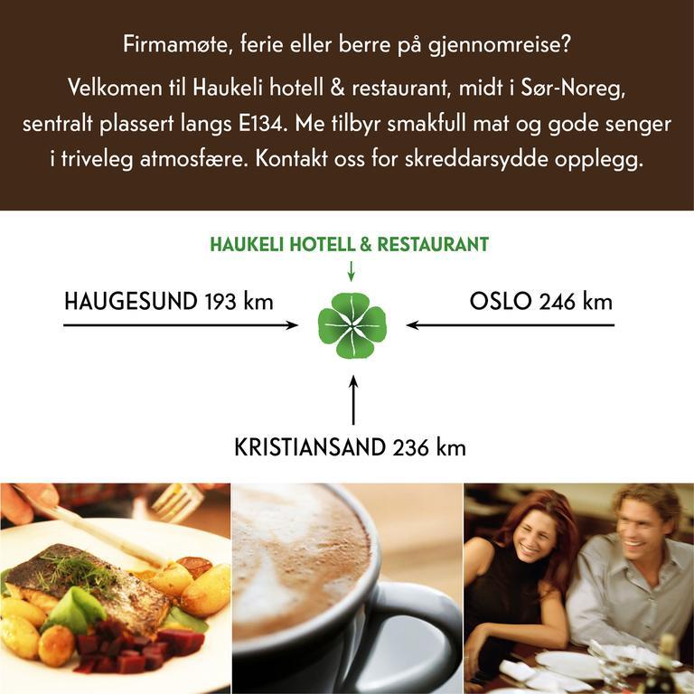 Haukeli Hotel Экстерьер фото